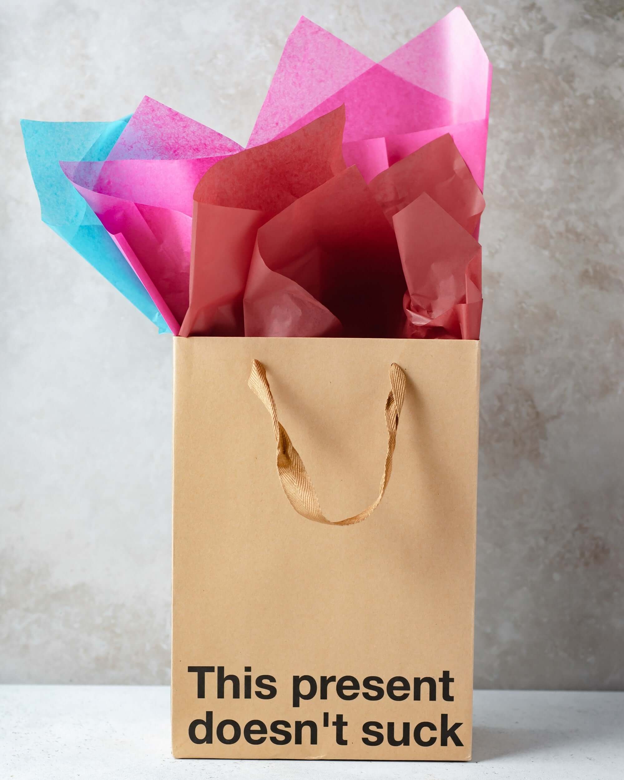 "This Present Doesn't Suck" Gift Bag - Image 3
